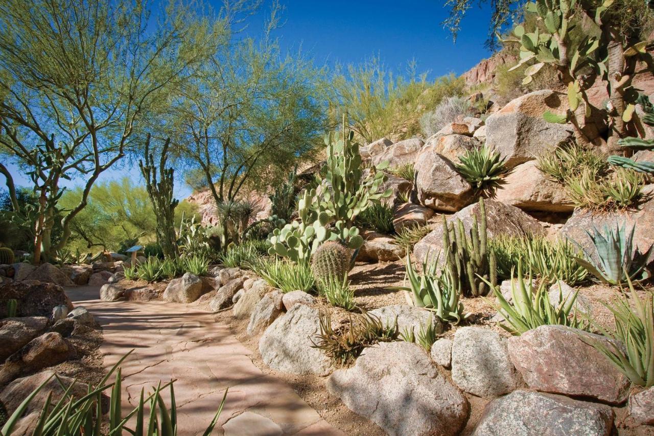 The Canyon Suites At The Phoenician, A Luxury Collection Resort, Scottsdale Paradise Valley Exterior photo