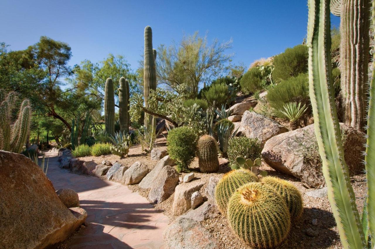 The Canyon Suites At The Phoenician, A Luxury Collection Resort, Scottsdale Paradise Valley Exterior photo